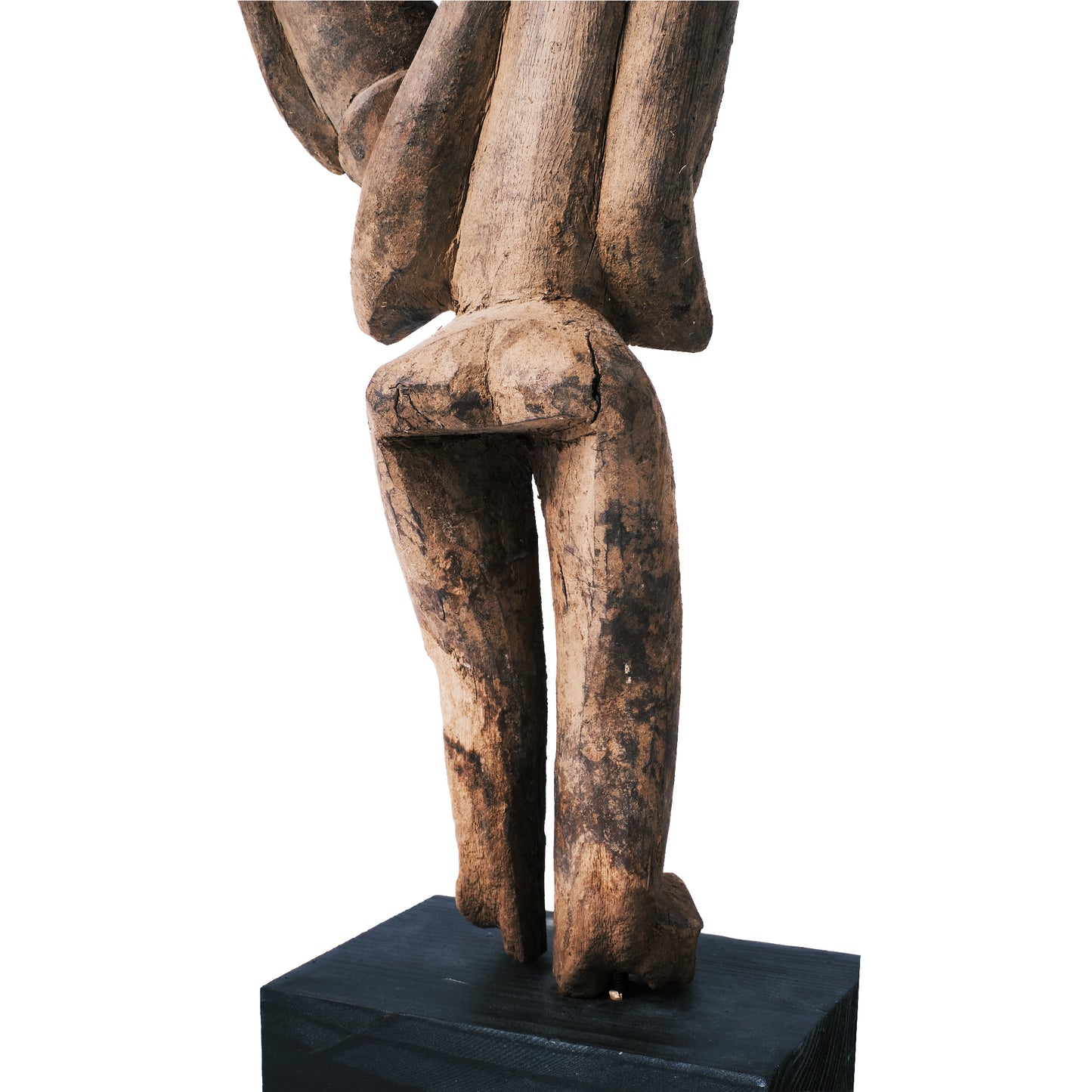 Lobi, Maternitá, 41 cm